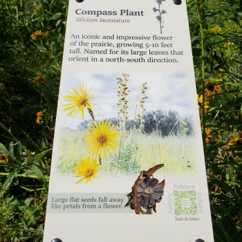 Compass Plant Sign