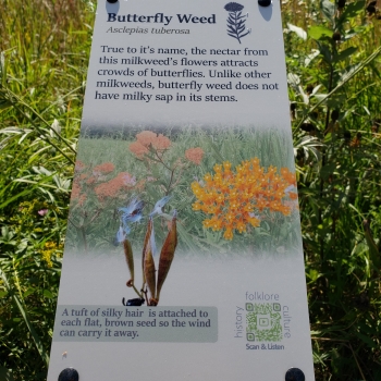 Butterfly Weed Sign