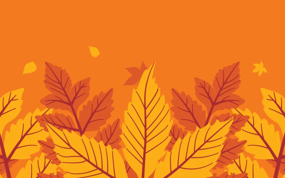 Orange with fall leaves